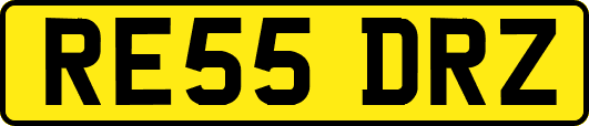 RE55DRZ