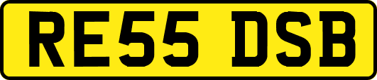 RE55DSB