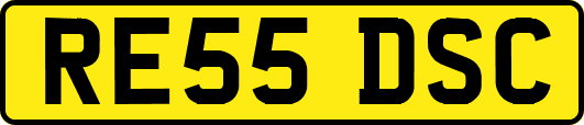 RE55DSC