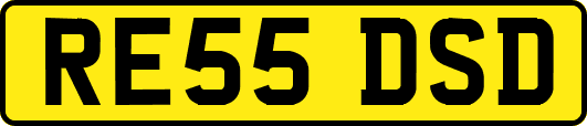 RE55DSD