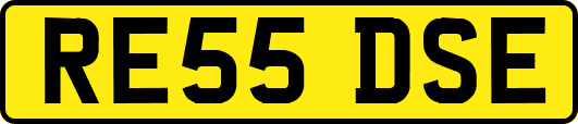 RE55DSE
