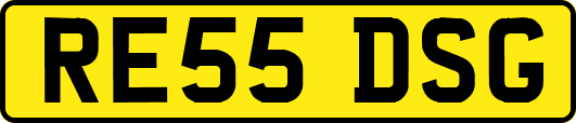 RE55DSG