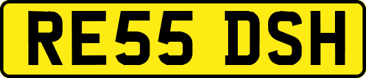 RE55DSH