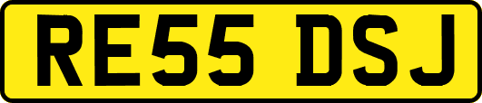 RE55DSJ