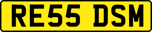 RE55DSM