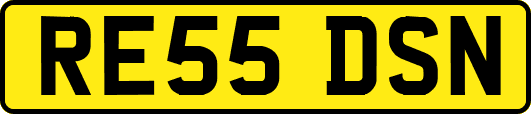 RE55DSN