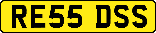 RE55DSS
