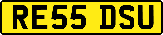 RE55DSU