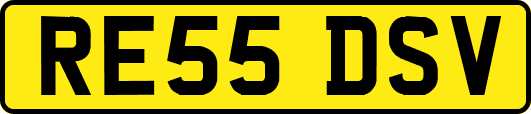 RE55DSV