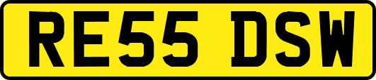 RE55DSW