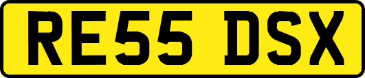 RE55DSX