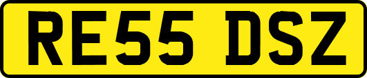 RE55DSZ