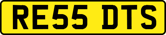 RE55DTS