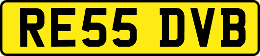 RE55DVB