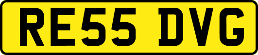 RE55DVG
