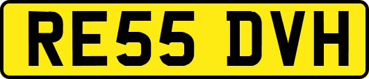 RE55DVH