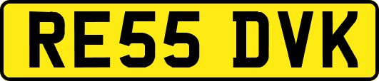 RE55DVK