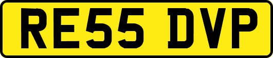 RE55DVP