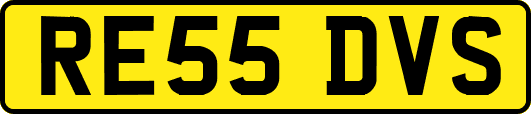 RE55DVS