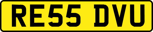 RE55DVU