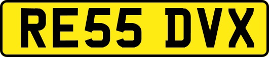 RE55DVX