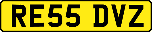 RE55DVZ