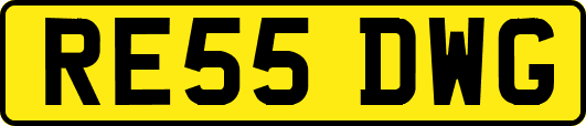 RE55DWG