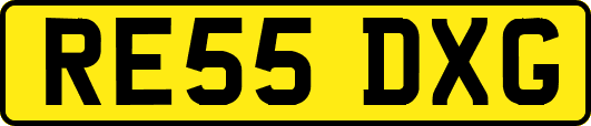 RE55DXG