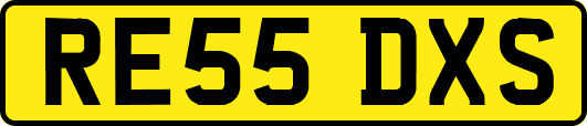 RE55DXS