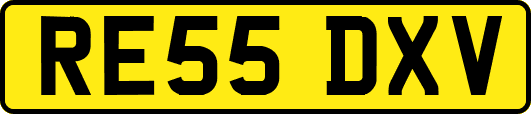 RE55DXV