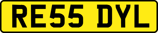 RE55DYL