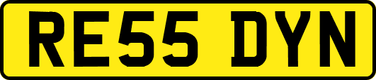 RE55DYN