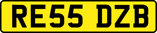 RE55DZB