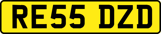 RE55DZD