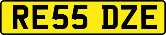 RE55DZE