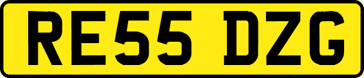 RE55DZG