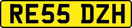 RE55DZH