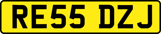 RE55DZJ