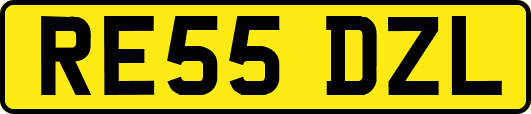 RE55DZL