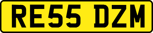 RE55DZM
