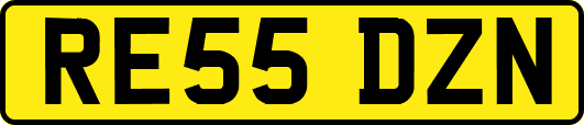 RE55DZN