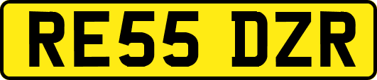 RE55DZR