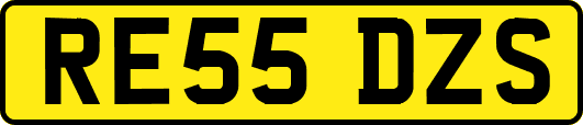 RE55DZS