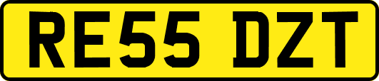 RE55DZT