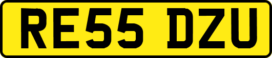 RE55DZU