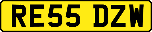 RE55DZW