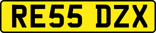 RE55DZX