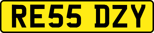 RE55DZY
