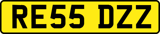 RE55DZZ