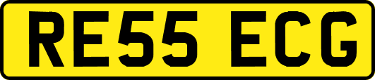 RE55ECG